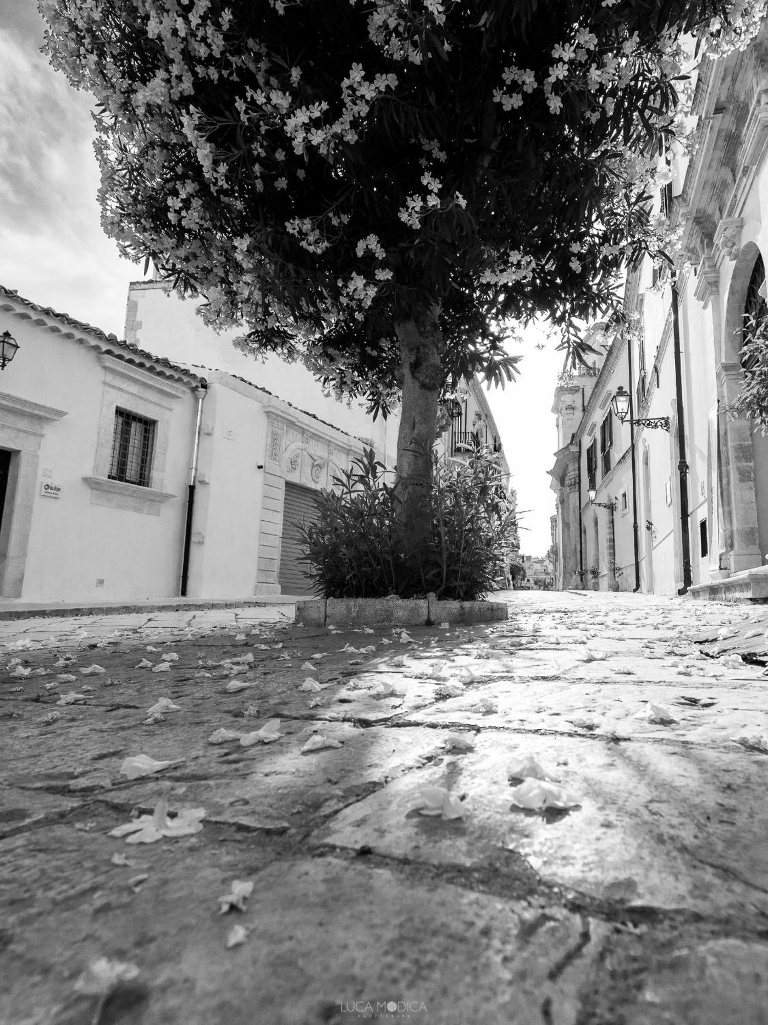 Holiday home San Matteo *